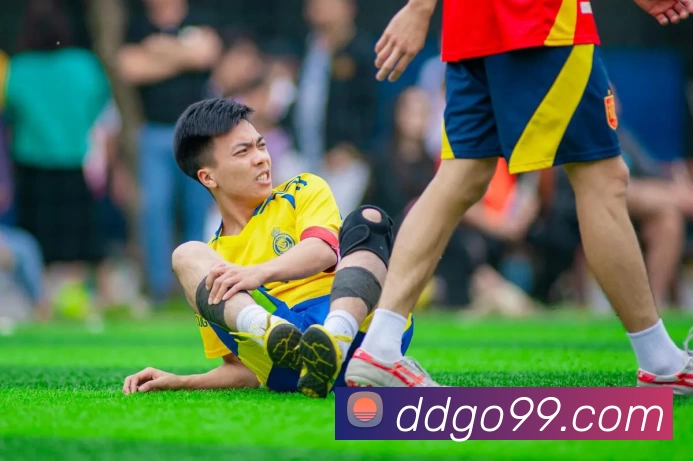 鼎点娱乐官网平台生态图