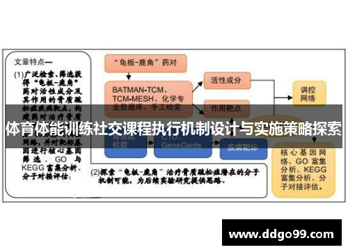 体育体能训练社交课程执行机制设计与实施策略探索